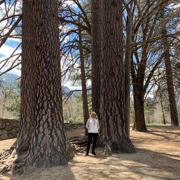 Welcome! 🌸 - Picture 3 of 7